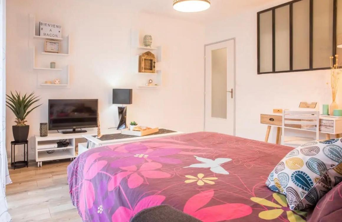 Charmant Appartement T1 Mâcon 外观 照片